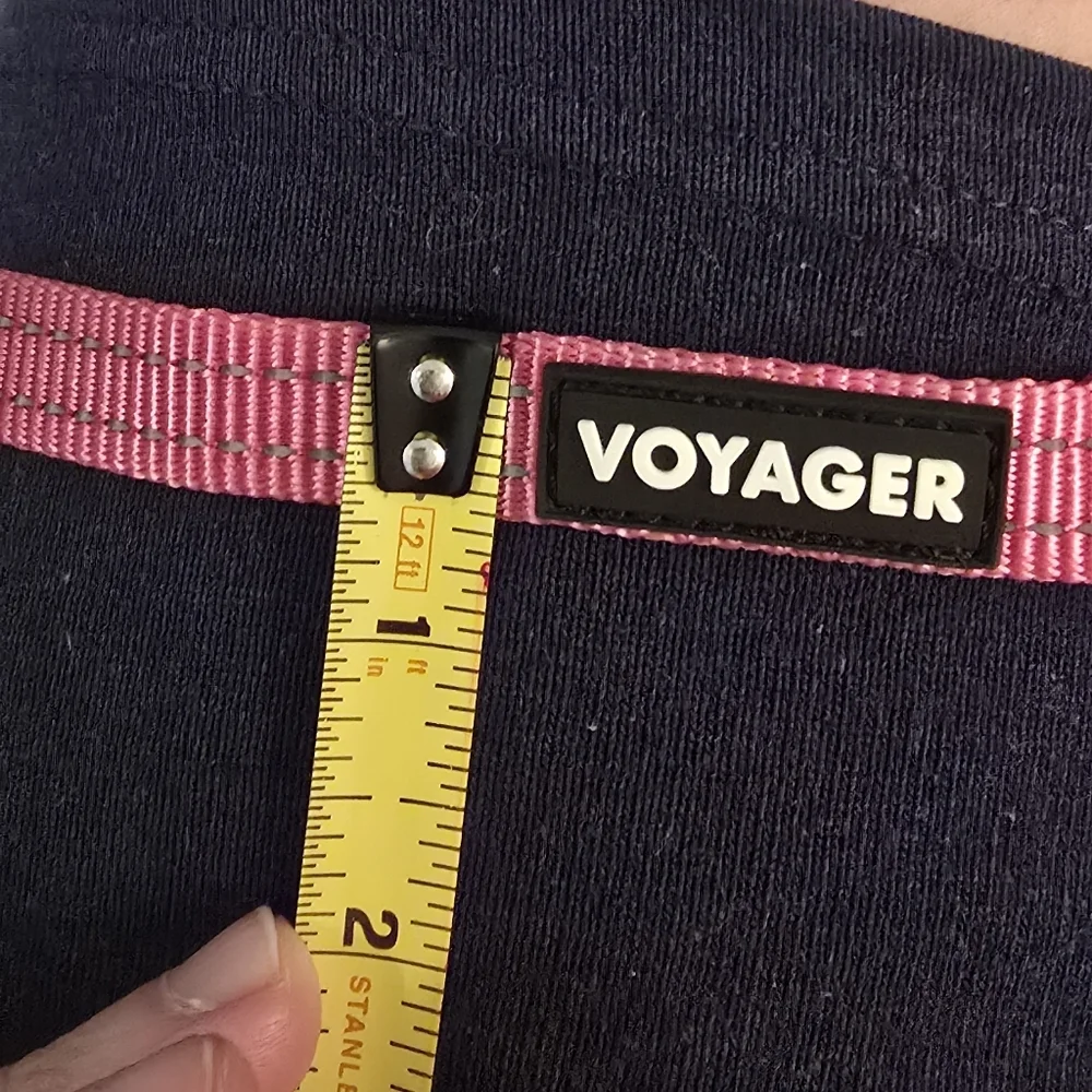 2 Voyager Dog Leashes - Pink And Blue (1206)